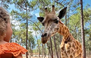 Badoca-Comporta-Convida-2026-010