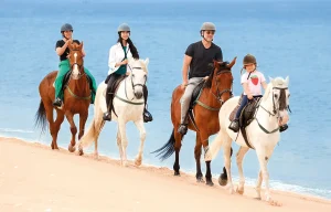 CavalosAreia-Comporta-Convida-2026-010